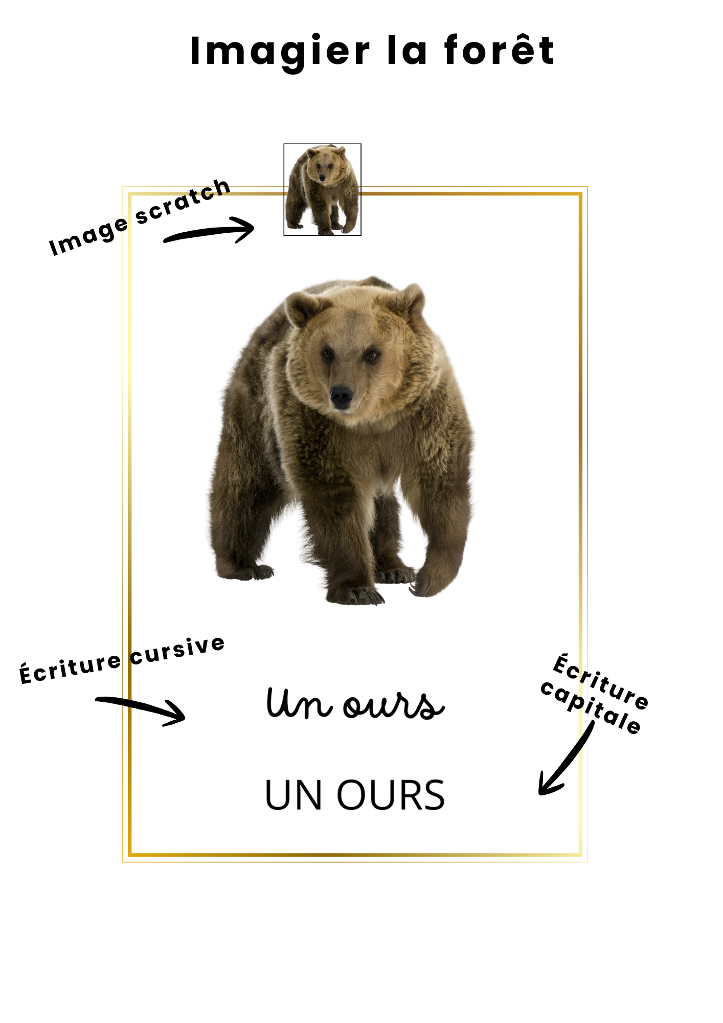 imagier évolutif la forêt