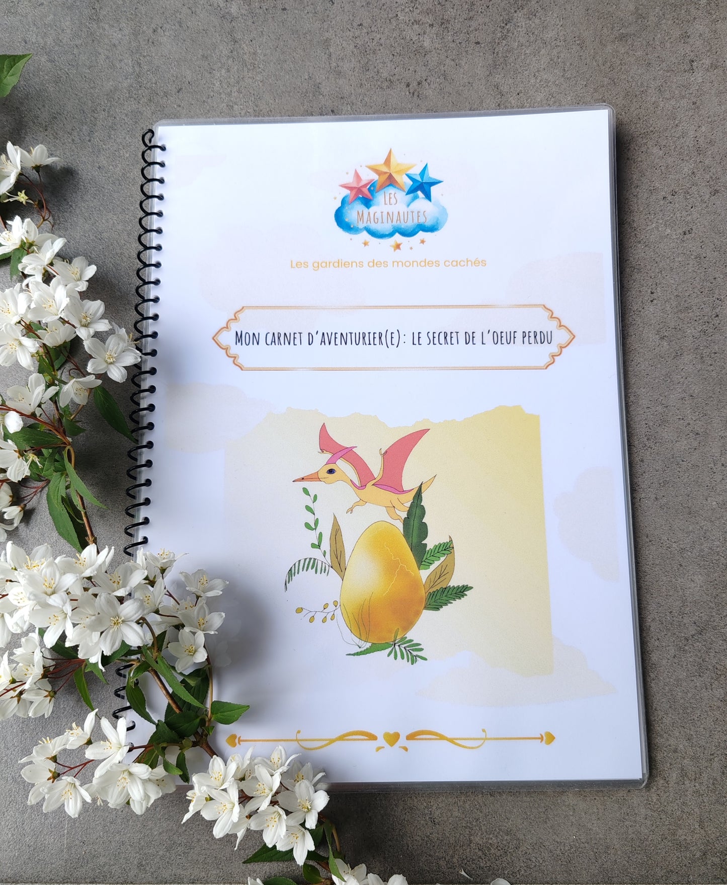 Carnet d'aventure Le secret de l'oeuf perdu - 3 à 5 ans