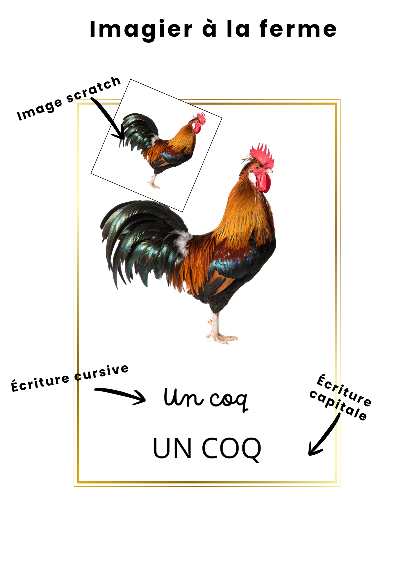 Imagier évolutif La Ferme