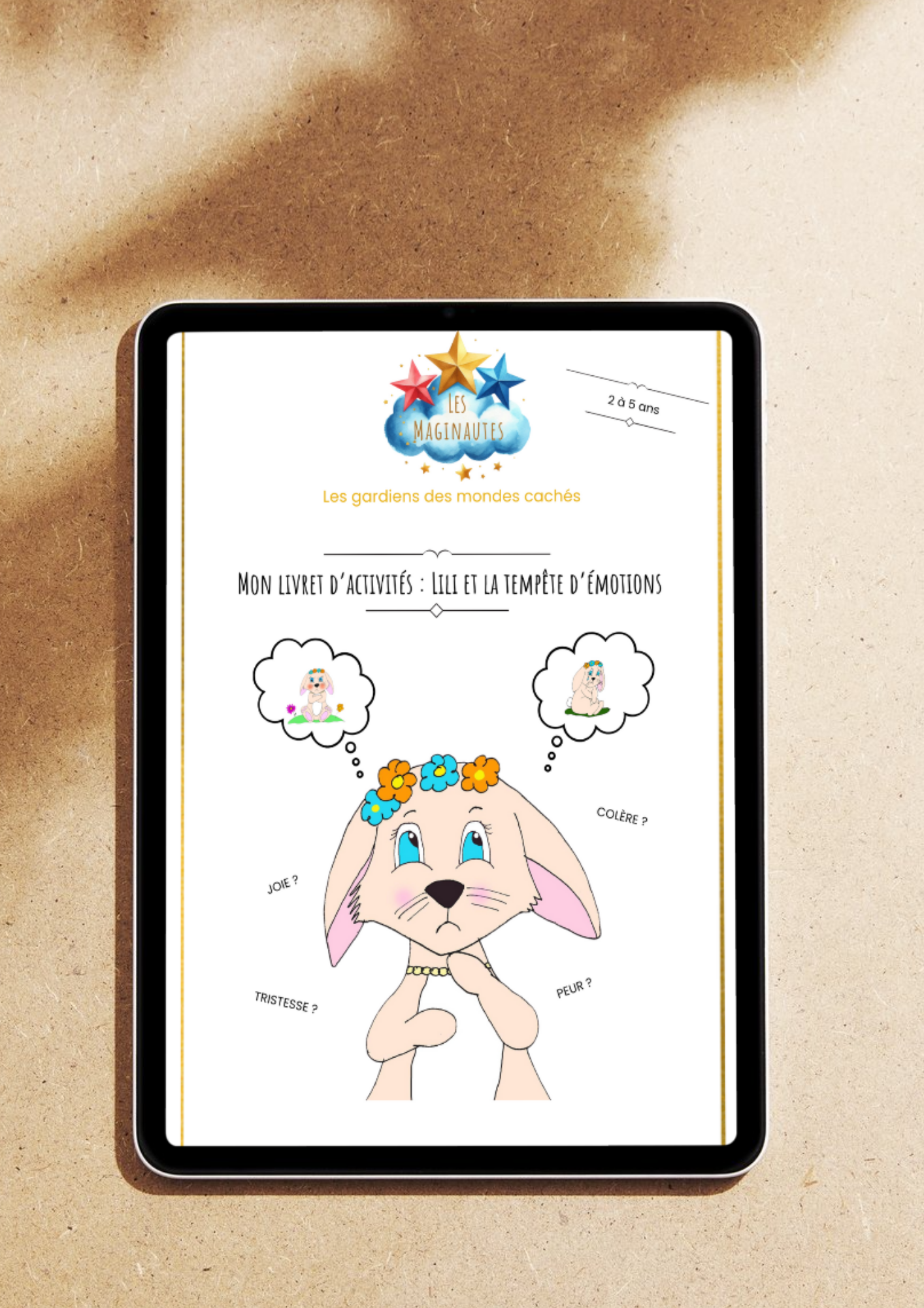 PDF Livret activités Lili et la tempête d'émotions