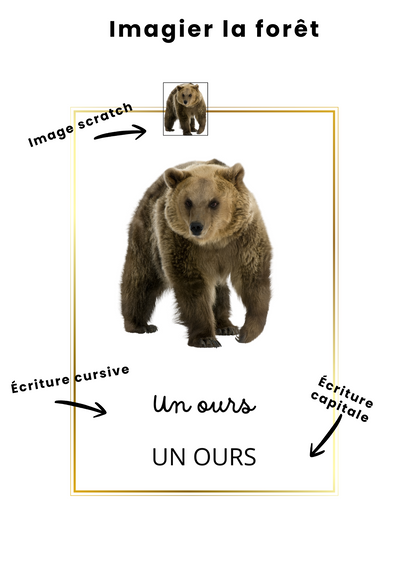 imagier évolutif la forêt